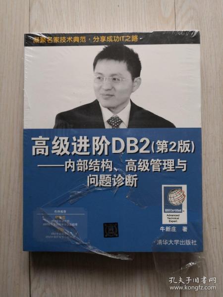 高级进阶DB2：内部结构、高级管理与问题诊断（第2版）