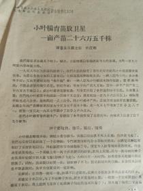 1958年放卫星   山西省农业社会主义建设先进单位代表会议 发言材料 176 【小叶杨育苗放卫星 一亩产苗二十六万五千株】闻喜县 16开3页