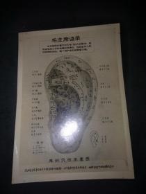 耳针穴位示意图（带毛主席语录）尺寸14.5*10.5CM