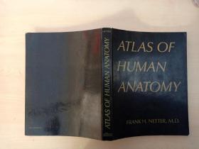 Atlas of Human Anatomy, Third Edition (以图为准)