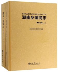 湖南乡镇简志（衡阳市卷套装上下册）