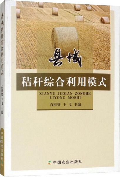 县域秸秆综合利用模式