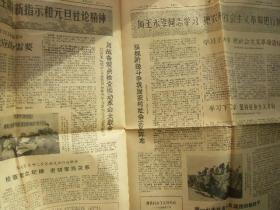 大众日报 1970年1月7日 第9701号 第1-4版 向王永幸同志学习把农村社会主义革命进行到底 原版正版老报纸 可作生日庆生报即生日报 周年庆贺报 结婚纪念报等