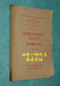 神经解剖和神经病理学彩色幻灯片名词和图解中英文对照本（价奇低）