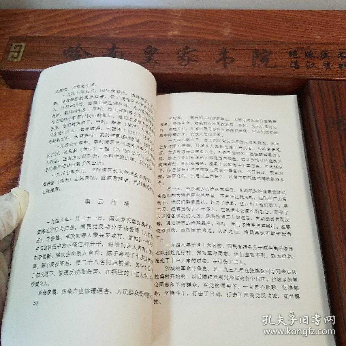 湛江市坡头区文史.第三辑.广州湾湛江地方文献.法国殖民.抗日.大洞村.龙头墟战斗.陈宝华.詹茂祥.张炎夫人.许晋奎