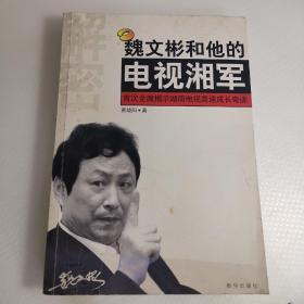 魏文彬和他的电视湘军