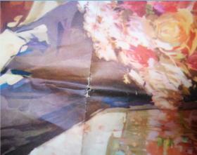 宣传画:热烈庆祝第五届全国人民代表大会胜利召开 ( 尺寸:  106 × 78 cm)高少飞  作