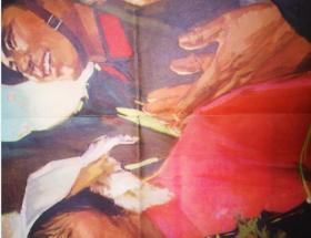 宣传画:热烈庆祝第五届全国人民代表大会胜利召开 ( 尺寸:  106 × 78 cm)高少飞  作