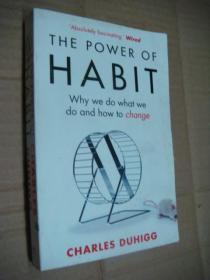 The Power of Habit: Why We Do What We Do, and How to Change[习惯的力量]