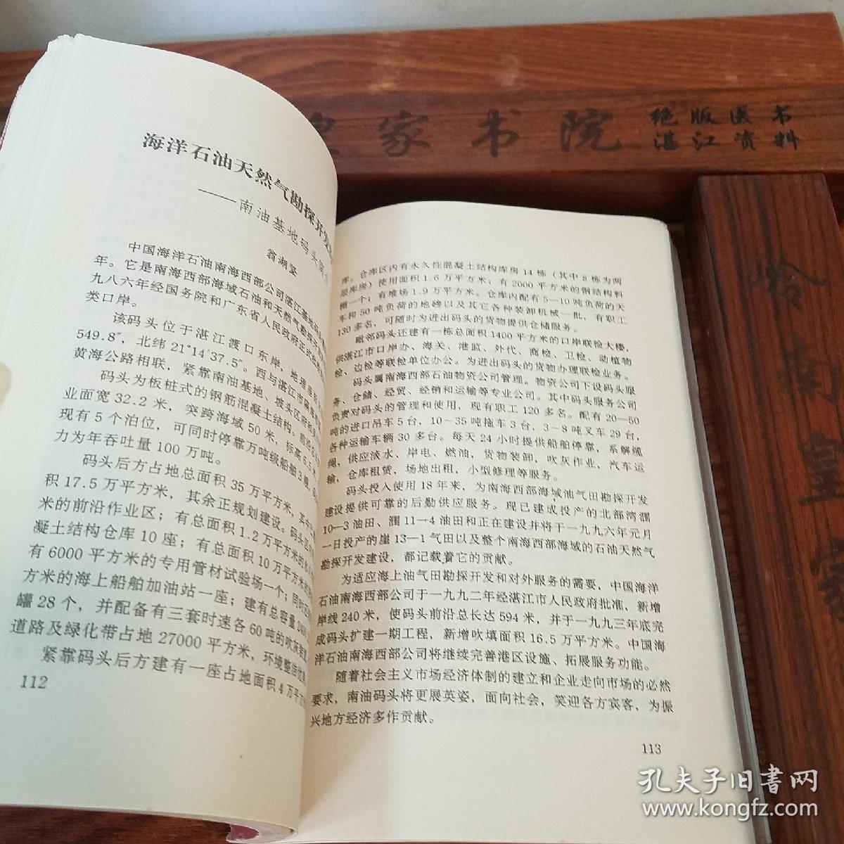 湛江市坡头区文史.第三辑.广州湾湛江地方文献.法国殖民.抗日.大洞村.龙头墟战斗.陈宝华.詹茂祥.张炎夫人.许晋奎
