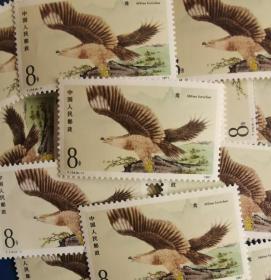 中国邮票 ，T114猛禽4-1，鸢，珍稀野生动物，一枚价