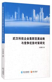 武汉科技企业集群发展战略与竞争优势对策研究