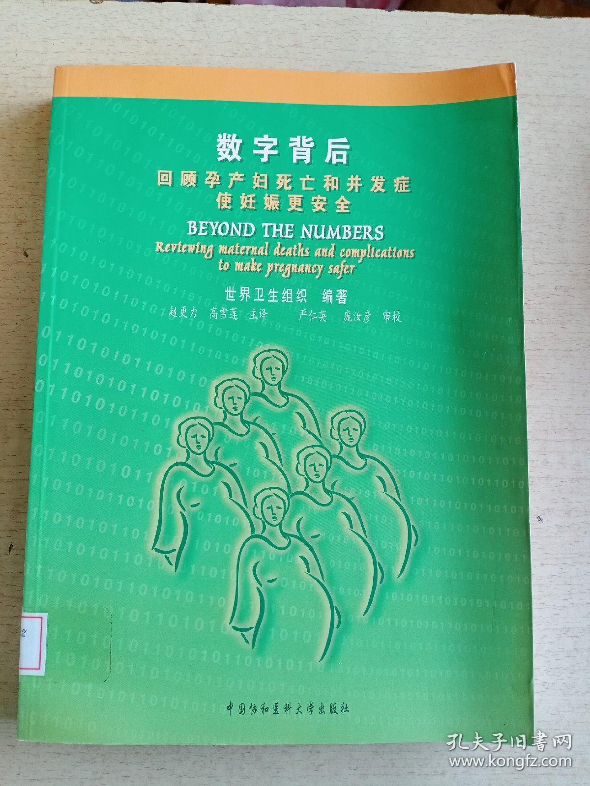 数字背后：回顾孕产妇死亡和并发症使妊娠更安全