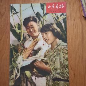 山东画报 1960年第11期