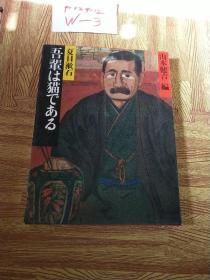 日本原版明治古典9   大16开精装 有护封