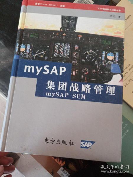 mySAP集团战略管理