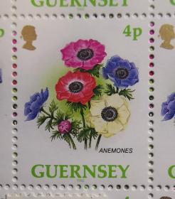 英国邮票，根西岛银莲花，植物花卉，伊丽莎白二世女王头像