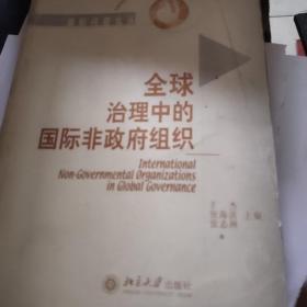 全球治理中的国际非政府组织