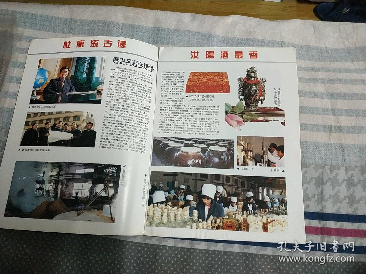 酒类资料一一汝陽杜康酒画珊