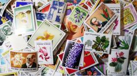 外国邮票，各国各类植物花卉、水果等专题，一枚价，随机发货