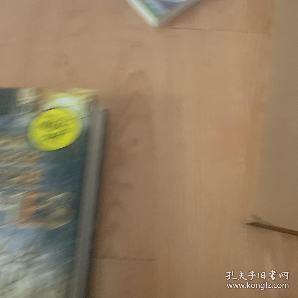 An Ember in the Ashes（精装）