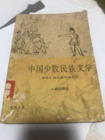 中国少数民族文学