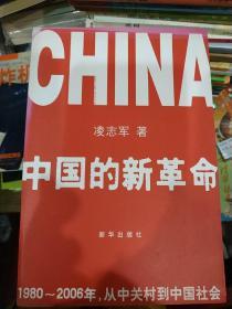 中国的新革命：1980-2006年，从中关村到中国社会