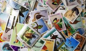 外国邮票，鸟类飞禽等野生动物专题，一枚价，随机发货