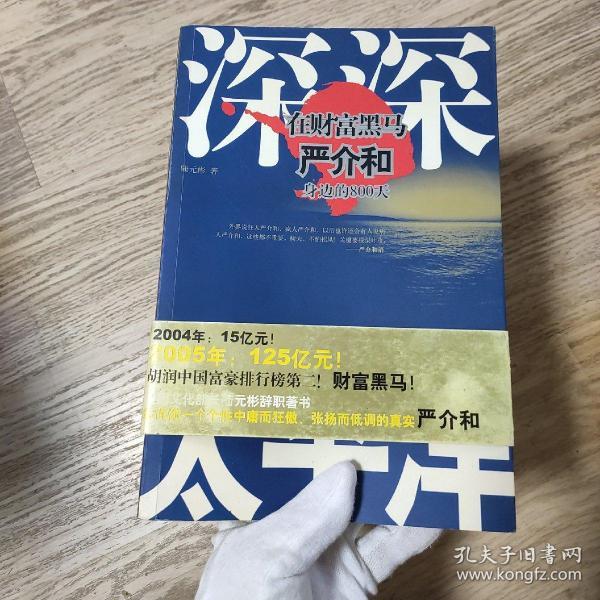 深深太平洋：在财富黑马严介和身边的800天