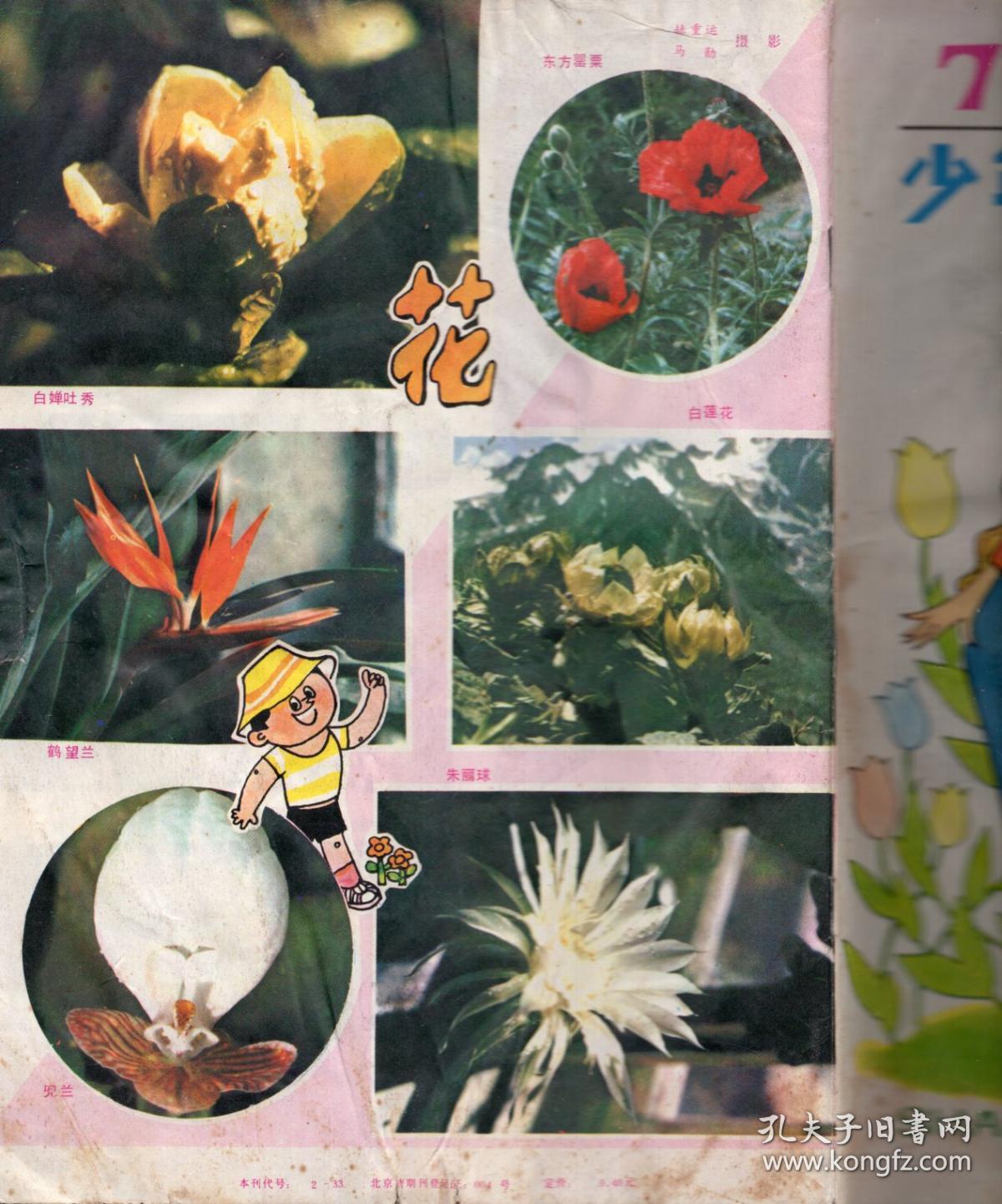 《少年科学画报》1986年第7期【每页均有水迹，品如图】