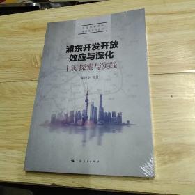 浦东开发开放效应与深化：上海探索与实践