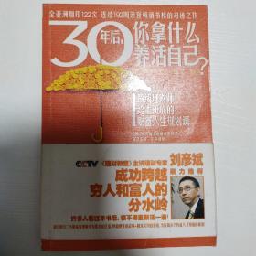 30年后，你拿什么养活自己？：上班族的财富人生规划课