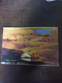鄱阳湖珍禽明信片