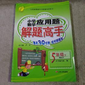 小学数学应用题解题高手 五年级 下 人教版