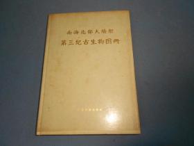 南海北部大陆架 第三纪古生物图册--16开精装81年一版一印