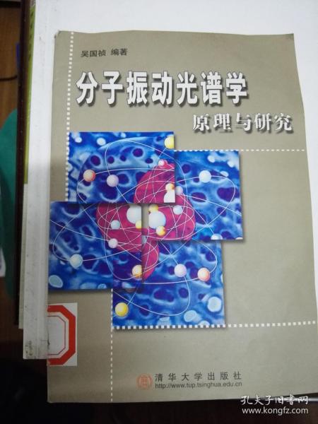 分子振动光谱学 原理与研究