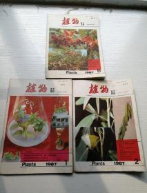 植物杂志1987（1.2.6期）