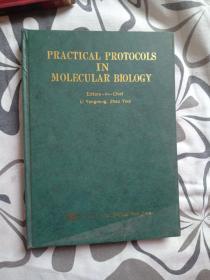 PRACTICAL PROTOCOLS IN MOLECULAR BIOGY