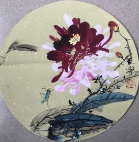 张宁花鸟3套12张