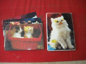《猫明信片》19张有三张重复的，沈阳出品9品，N789号，明信片