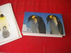 《罗红南极帝企鹅作品明信片》8张，长10厘米宽16.5厘米，好利来2007出品9品，N791号，明信片