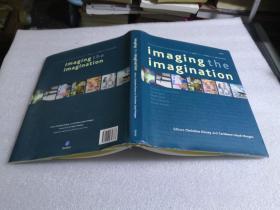 Imaging the Imagination（精装）