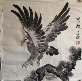 雄鹰展翅腾飞