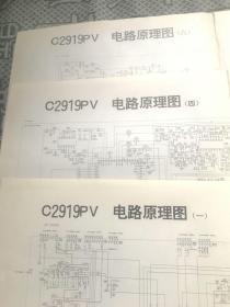 C2919PV电路原理图（一、二、三、四、五、六）【共3张】      117-3