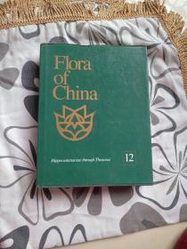 FloraofChina（12）