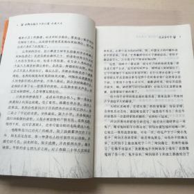 动物小说大王沈石溪品藏书系：虎娃金叶子