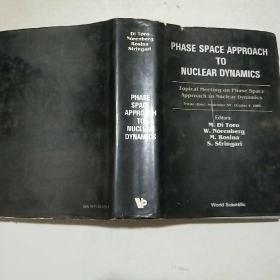 (英文原版)phase space approach to nuclear dynamics核动力学的相空间方法(16开精装本书衣全)