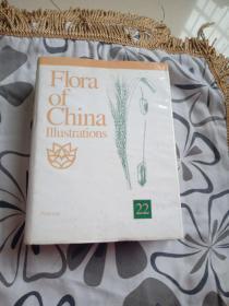 FIoraofChina（22）