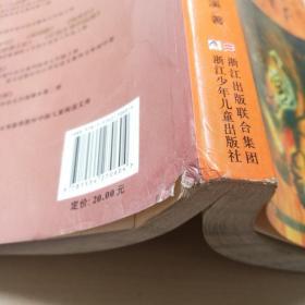 动物小说大王沈石溪品藏书系：虎娃金叶子