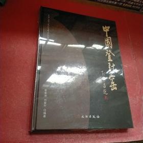 中國登封窯/中華之源與嵩山文明研究叢書 精裝本